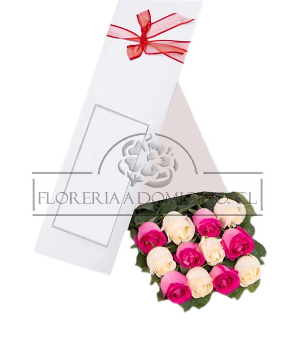 Caja 12 Rosas Blanco y Fucsia